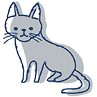 こねこ教室
